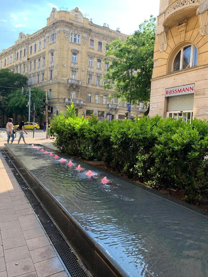 Rainforest By The Danube Lejlighed Budapest